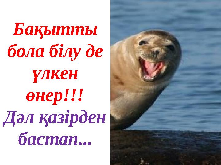 Бақытты бола білу де үлкен өнер!!! Дәл қазірден бастап...