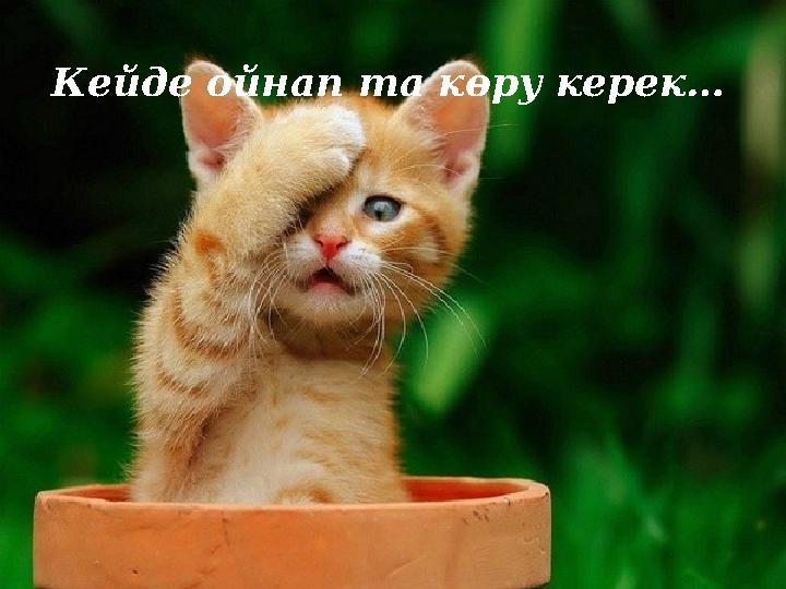 Кейде ойнап та көру керек…