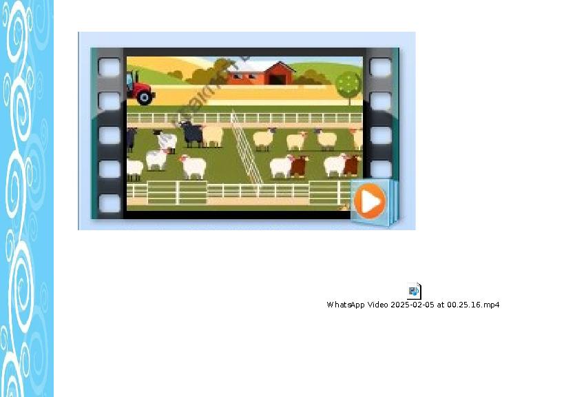 WhatsApp Video 2025-02-05 at 00.25.16.mp4