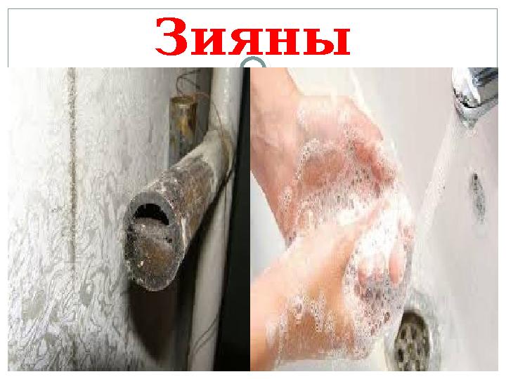 Зияны
