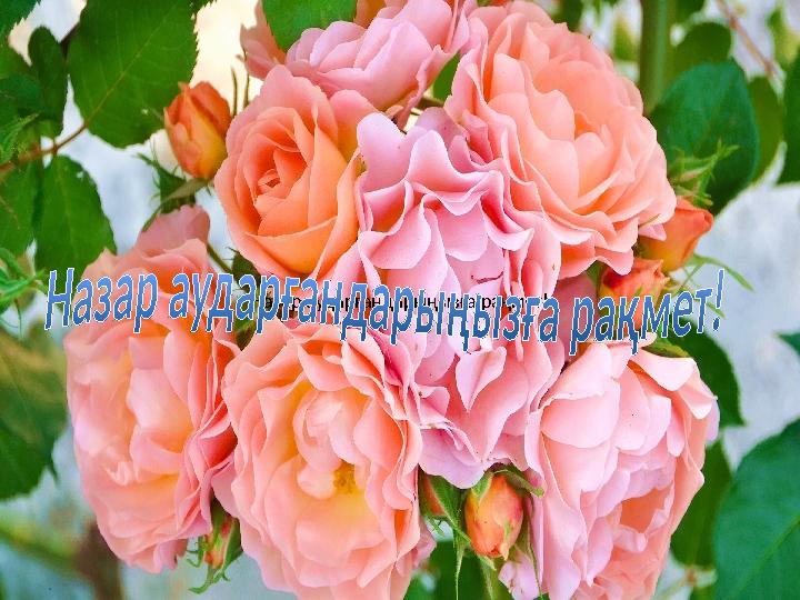 Назар аударғандарыңызға рақмет!