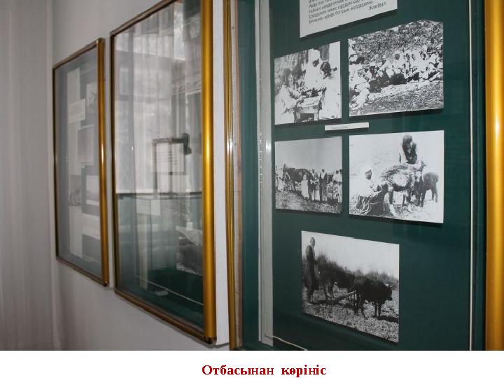 Отбасынан көрініс