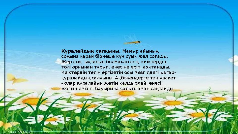 Ресейлік шоу-бизнестің порно жұлдыздары