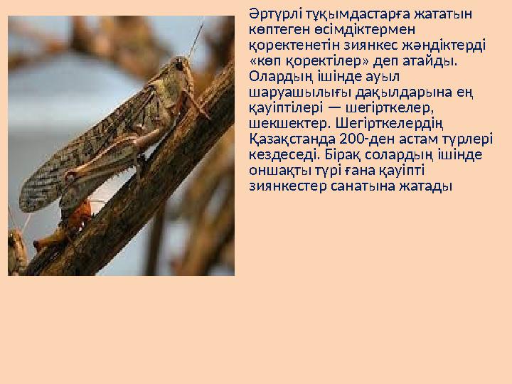 Әртүрлі тұқымдастарға жататын көптеген өсімдіктермен қоректенетін зиянкес жәндіктерді «көп қоректілер» деп атайды. Олардың і