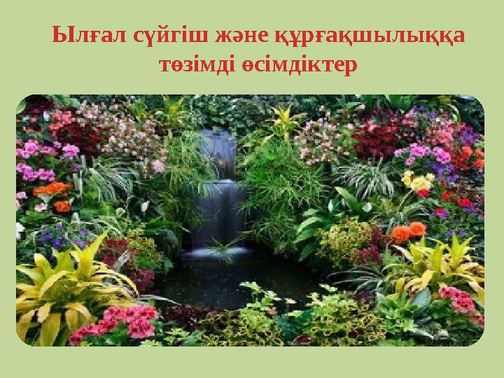 Ылғал сүйгіш және құрғақшылыққа төзімді өсімдіктер