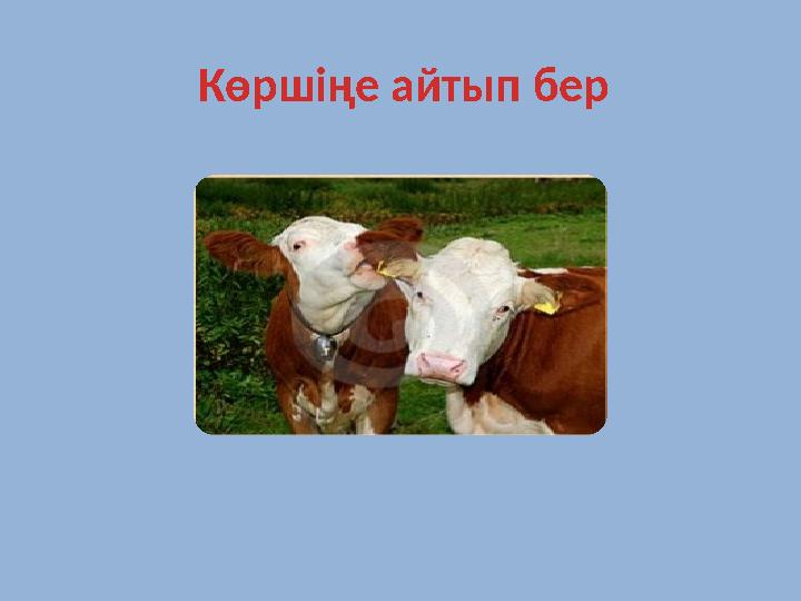 Көршіңе айтып бер