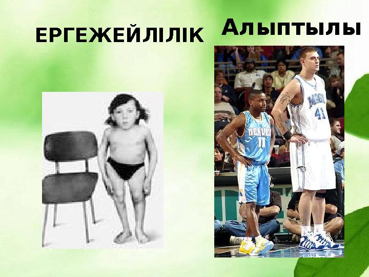 ЕРГЕЖЕЙЛІЛІК Алыптылы қ