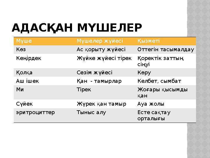 АДАСҚАН МҮШЕЛЕР Мүше Мүшелер жүйесі Қызметі Көз Ас қорыту жүйесі Оттегін тасымалдау Кеңірдек Жүйке жүйесі тірек Қоректік за