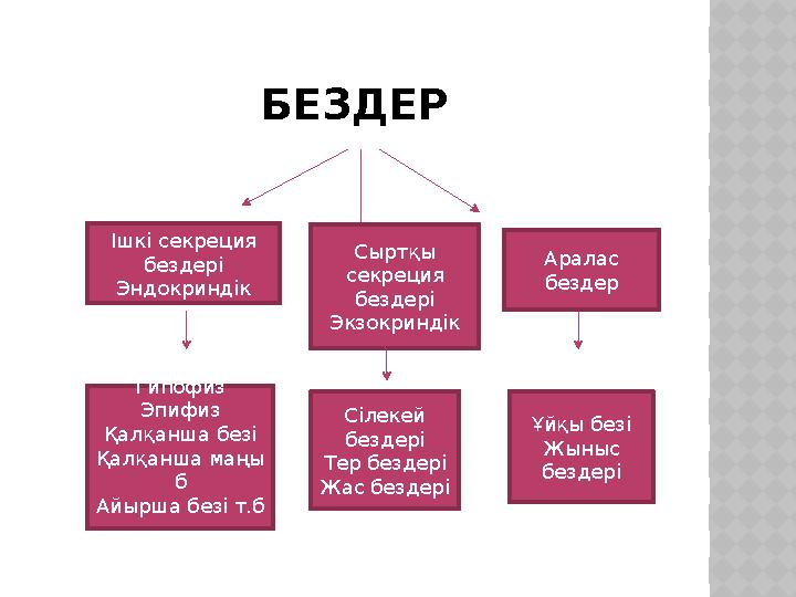 БЕЗДЕР Ішкі секреция бездері Эндокриндік Сыртқы секреция бездері Экзокриндік Аралас бездер Гипофиз Эпифиз Қалқанша безі Қал