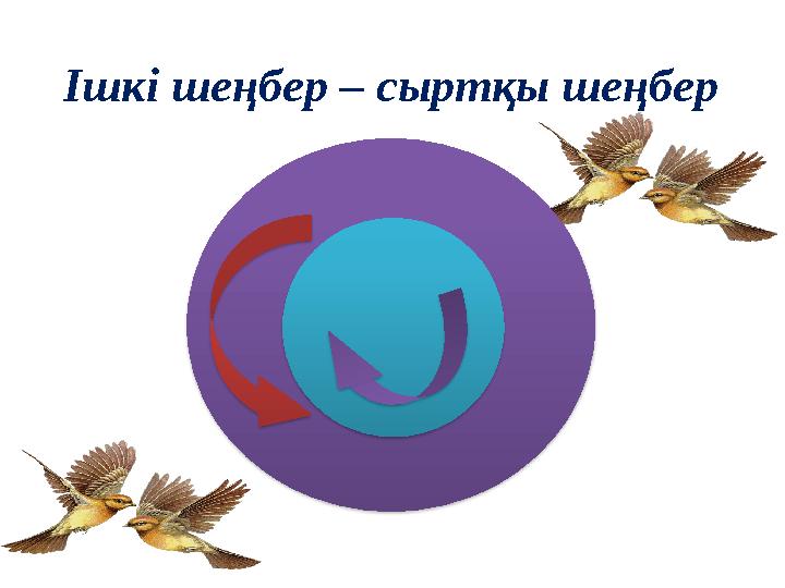 Ішкі шеңбер – сыртқы шеңбер Ішкі шеңбер – сыртқы шеңбер