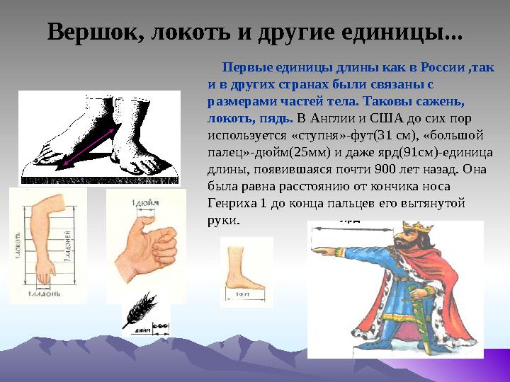 Вершок, локоть и другие единицы... Первые единицы длины как в России ,так и в других странах были связаны с размерами част