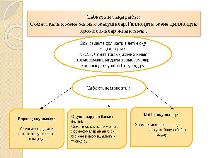 Кензи Мари порно видео