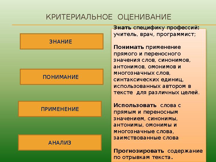 КРИТЕРИАЛЬНОЕ ОЦЕНИВАНИЕ Знать специфику профессий : учитель, врач, программист; Понимать применение прямого и переносного