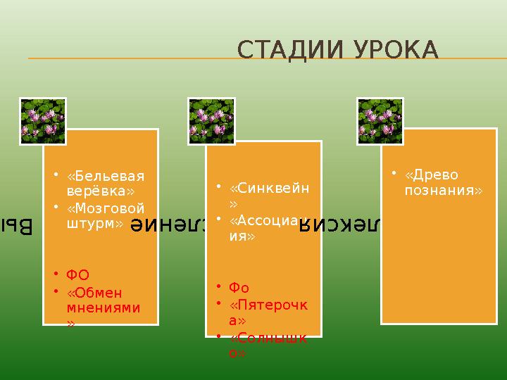 СТАДИИ УРОКА Вызов •«Бельевая верёвка» •«Мозговой штурм» •ФО •«Обмен мнениями » Осмысление •«Синквейн »