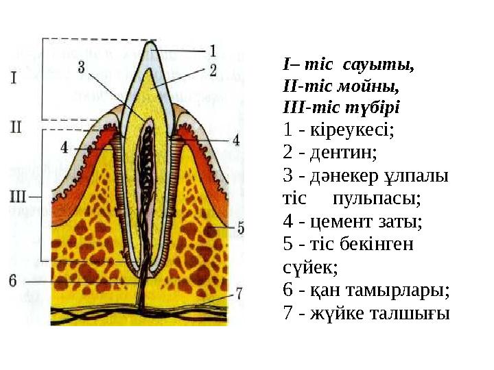Қара ерлердің порносын онлайн көру