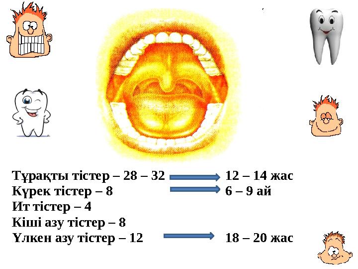 Ең жақсы минет қыздары