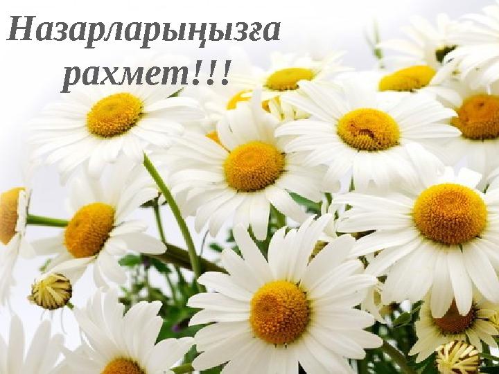 Назарларыңызға рахмет!!!