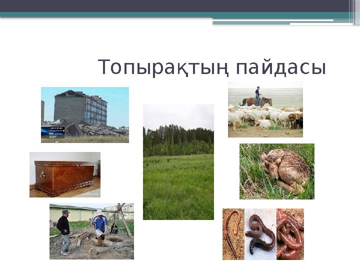 Топырақтың пайдасы