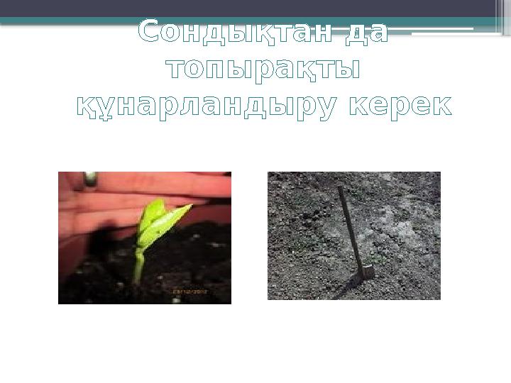 Сондықтан да топырақты құнарландыру керек