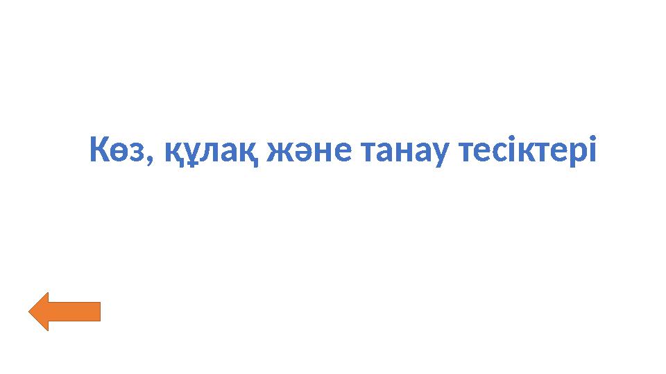 Көз, құлақ және танау тесіктері