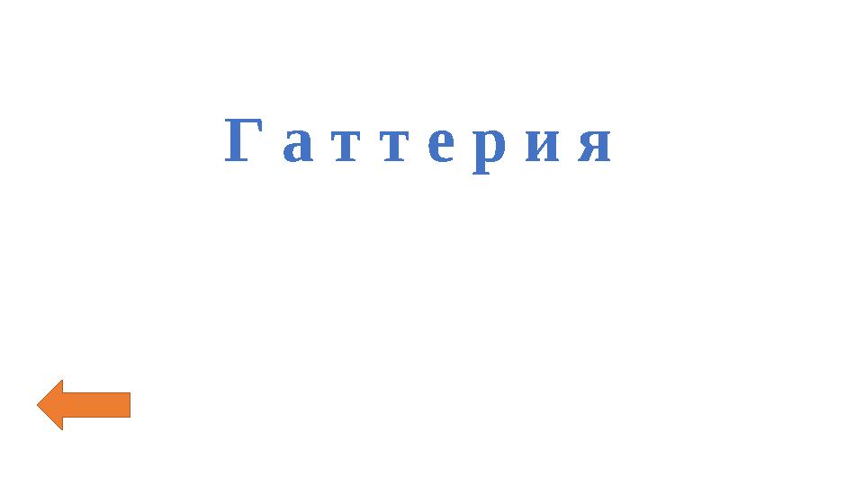 Г а т т е р и я
