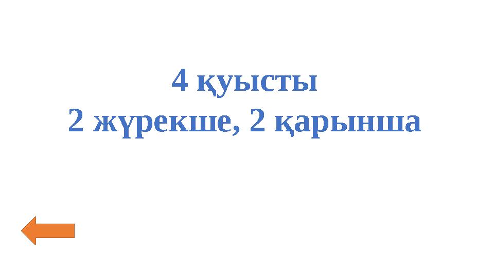4 қуысты 2 жүрекше, 2 қарынша