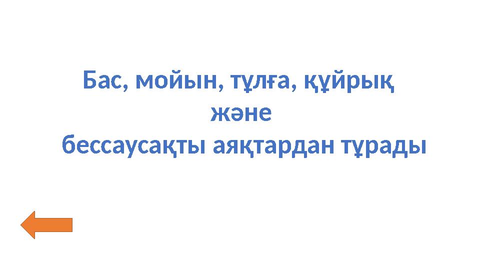 Бас, мойын, тұлға, құйрық және бессаусақты аяқтардан тұрады