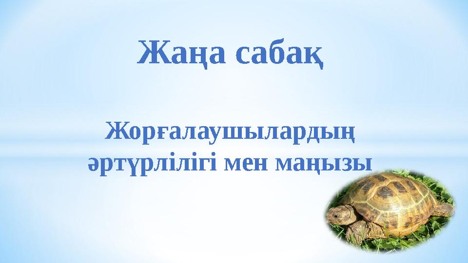 Жаңа сабақ Жорғалаушылардың әртүрлілігі мен маңызы