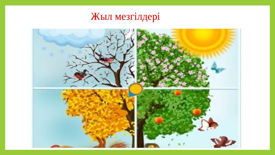 Жыл мезгілдері