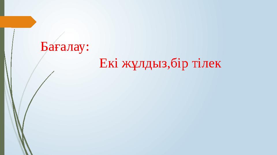 Бағалау: Екі жұлдыз,бір тілек