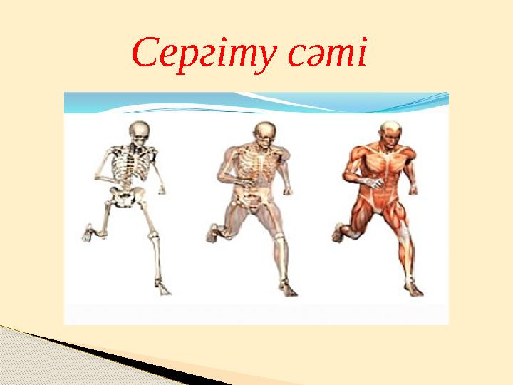 Сергіту сәті