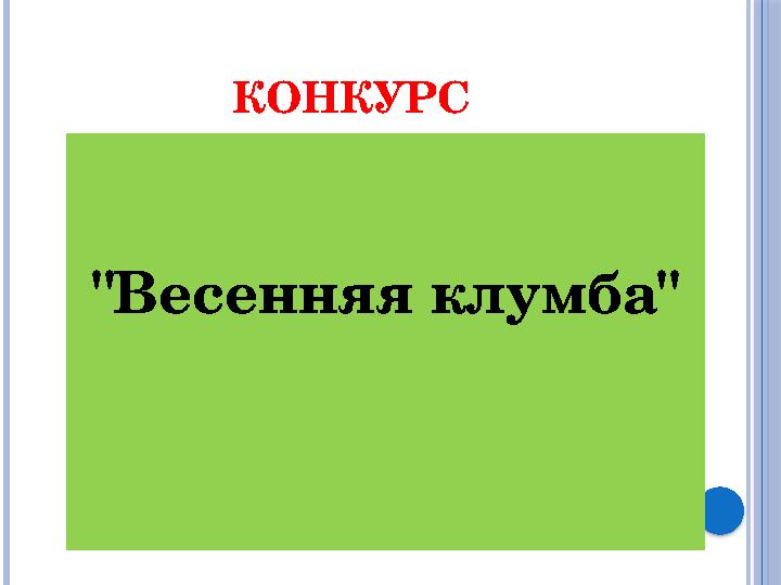 КОНКУРС "Весенняя клумба"