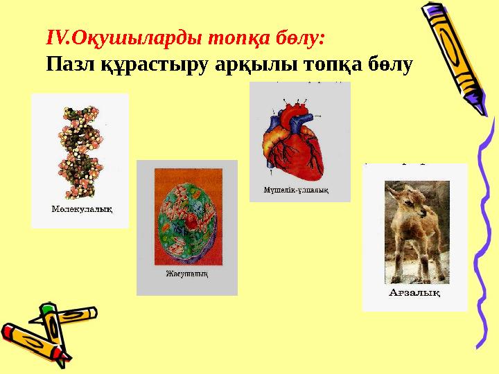 IV.Оқушыларды топқа бөлу: Пазл құрастыру арқылы топқа бөлу