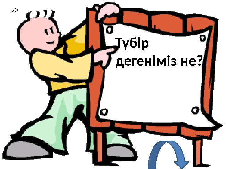 Түбір дегеніміз не? 20
