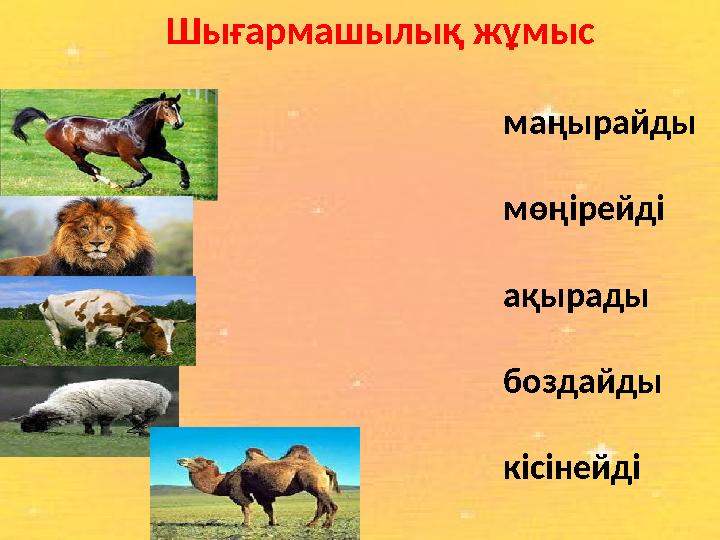 Шығармашылық жұмыс маңырайды мөңірейді ақырады боздайды кісінейді