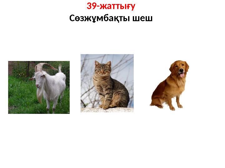 39-жаттығу Сөзжұмбақты шеш