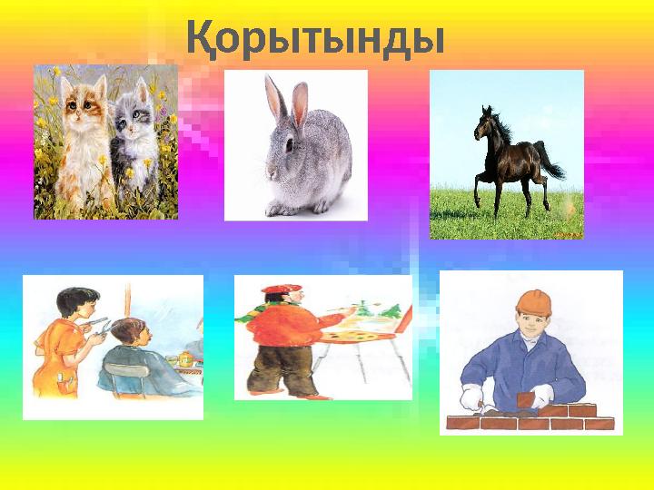 Қорытынды