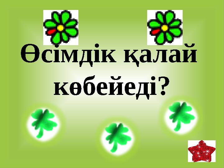 Өсімдік қалай көбейеді?