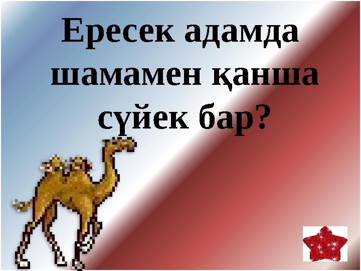Ересек адамда шамамен қанша сүйек бар?