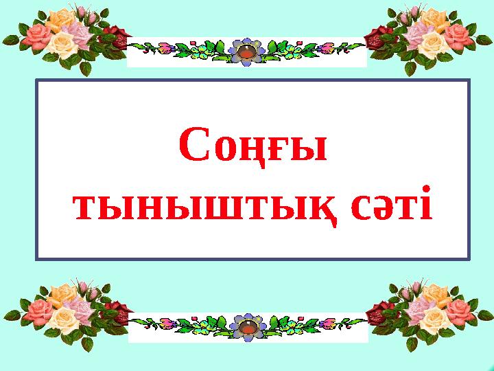 Соңғы тыныштық сәті