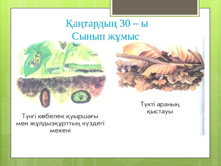 img_page_1