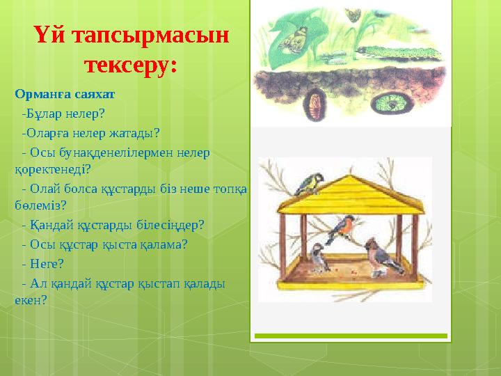 Үй тапсырмасын тексеру: Орманға саяхат -Бұлар нелер? -Оларға нелер жатады? -