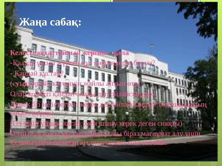 Жаңа сабақ: Келесі саяхаттайтын жеріміз - қала -Қалада ұшып жүрген құс көргендерің б