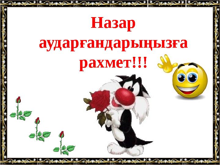 Назар аударғандарыңызға рахмет!!!