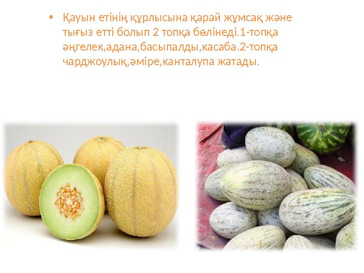 •Қауын етінің құрлысына қарай жұмсақ және тығыз етті болып 2 топқа бөлінеді.1-топқа әңгелек,адана,басыпалды,касаба.2-топқа ча