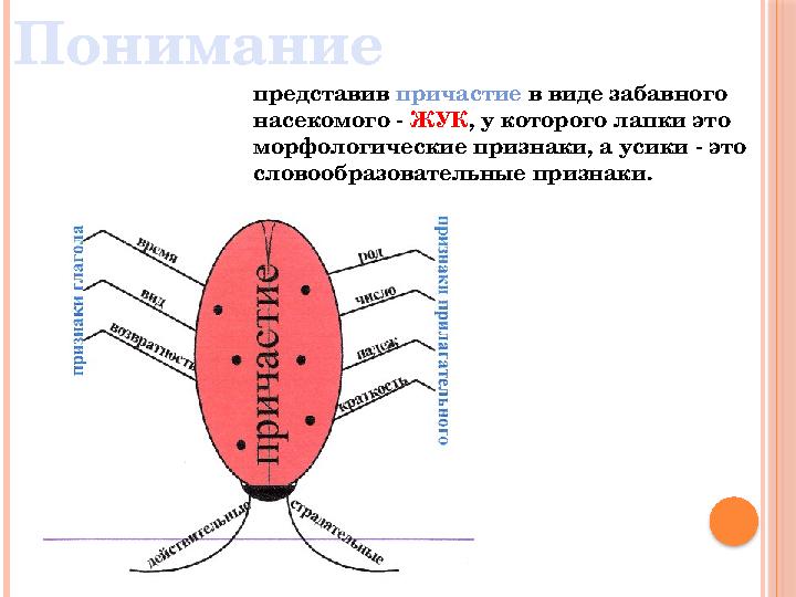 представив причастие в виде забавного насекомого - ЖУК, у которого лапки это морфологические признаки, а усики - это слов