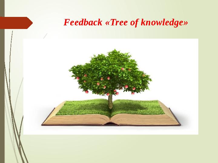 Feedback «Tree of knowledge»