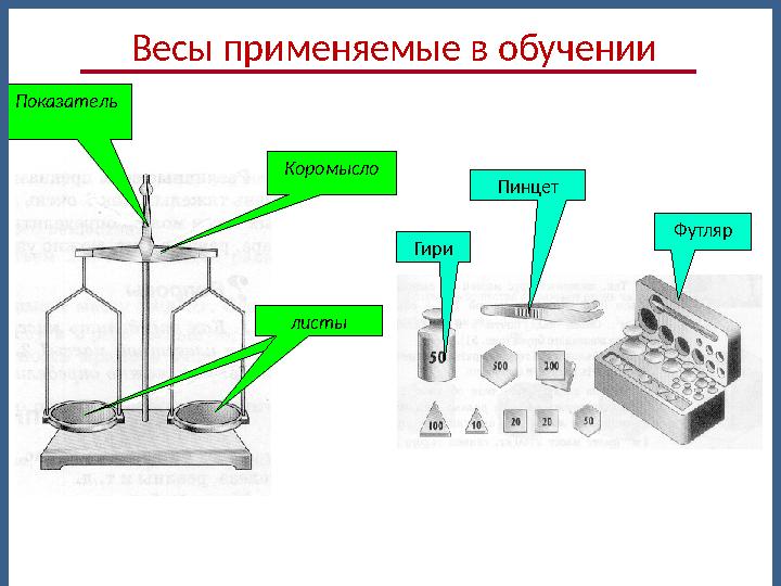 Коромысло Показатель листы Гири Пинцет Футляр Весы применяемые в обучении
