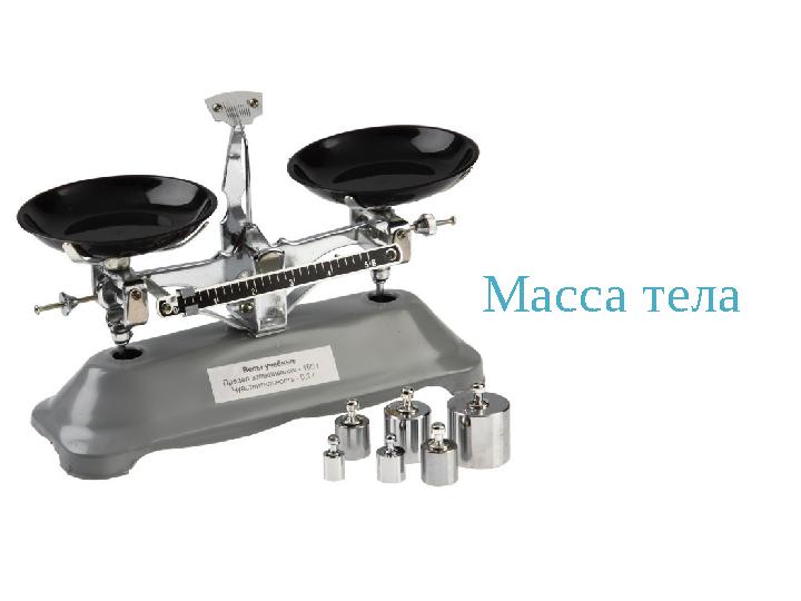 Масса тела