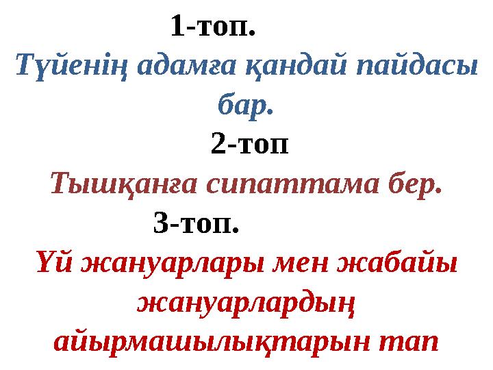 1-топ. Түйенің адамға қандай пайдасы бар. 2-топ Тышқанға сипаттама бер.